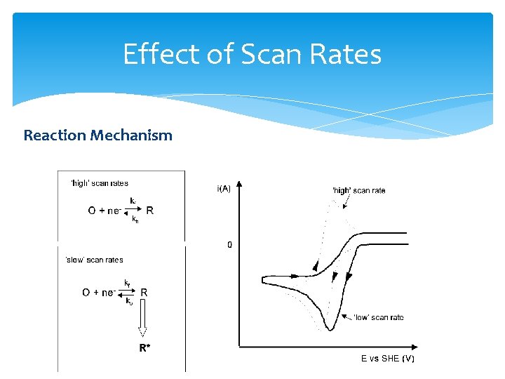 Effect of Scan Rates Reaction Mechanism 
