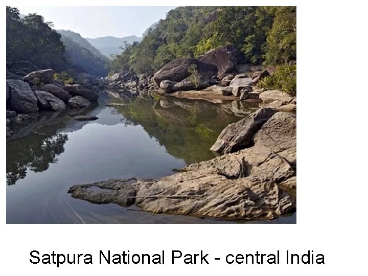 Satpura National Park - central India 