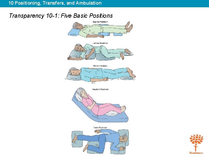 10 Positioning, Transfers, and Ambulation Transparency 10 -1: Five Basic Positions 