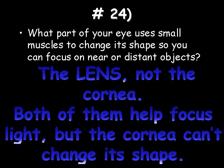 # 24) • What part of your eye uses small muscles to change its