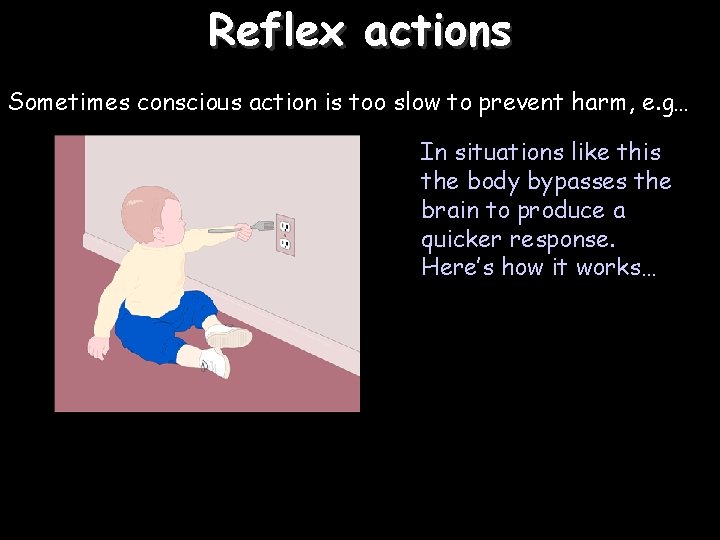 Reflex actions Sometimes conscious action is too slow to prevent harm, e. g… In