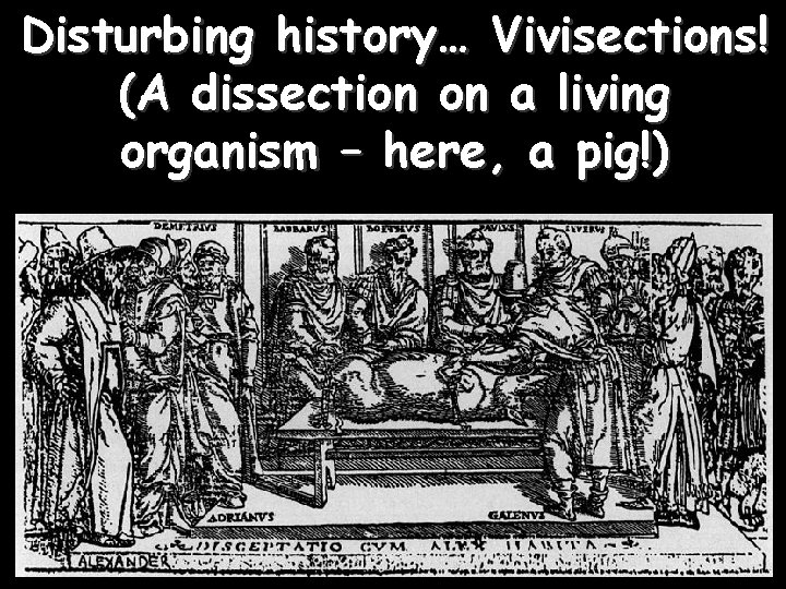 Disturbing history… Vivisections! (A dissection on a living organism – here, a pig!) 