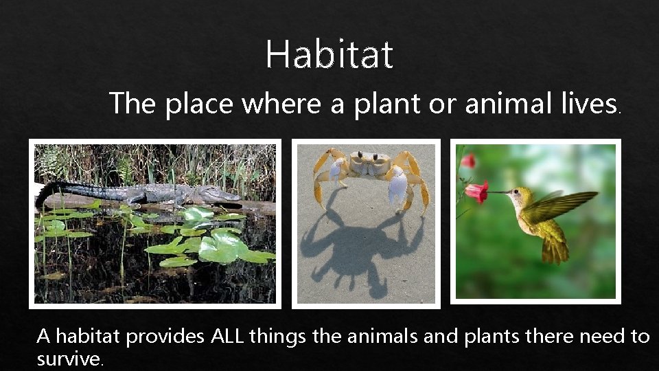 Habitat The place where a plant or animal lives. A habitat provides ALL things