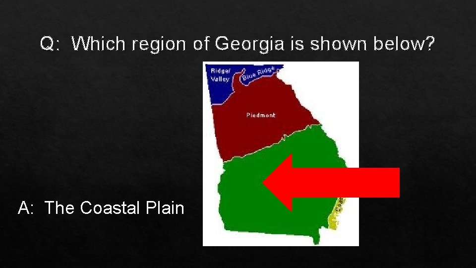 Q: Which region of Georgia is shown below? A: The Coastal Plain 
