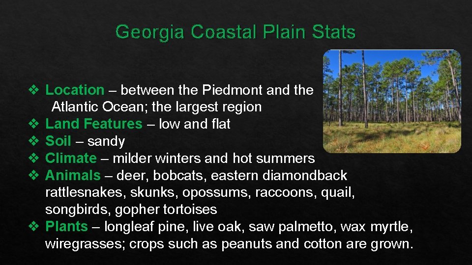 Georgia Coastal Plain Stats v Location – between the Piedmont and the Atlantic Ocean;