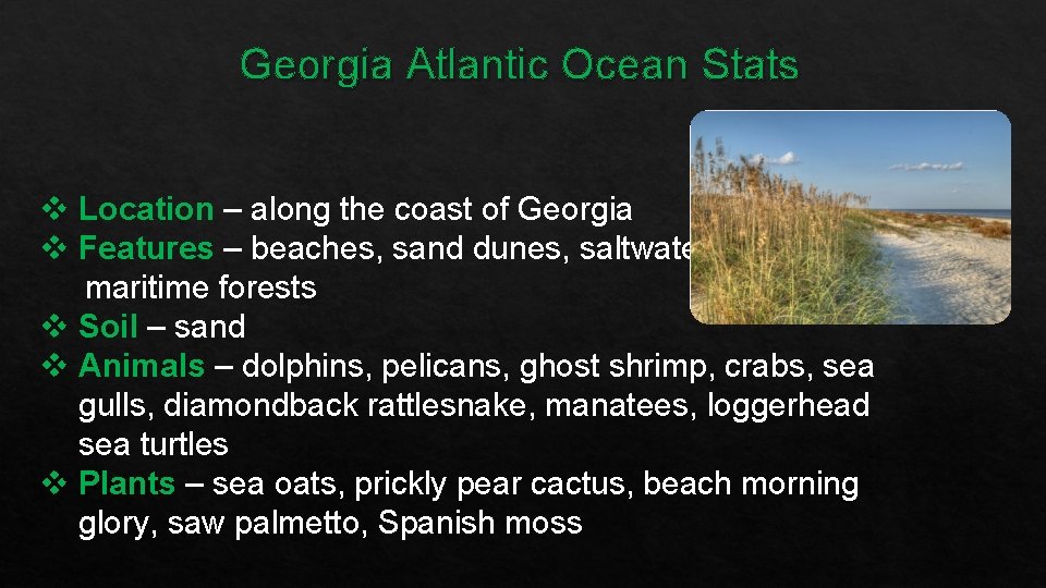 Georgia Atlantic Ocean Stats v Location – along the coast of Georgia v Features