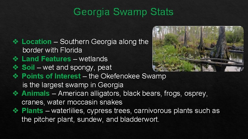 Georgia Swamp Stats v Location – Southern Georgia along the border with Florida v