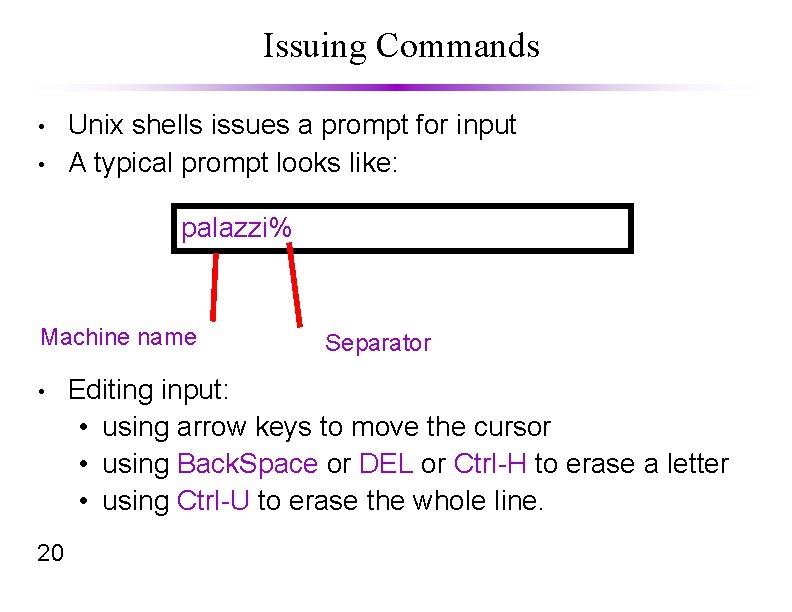 Issuing Commands • • Unix shells issues a prompt for input A typical prompt