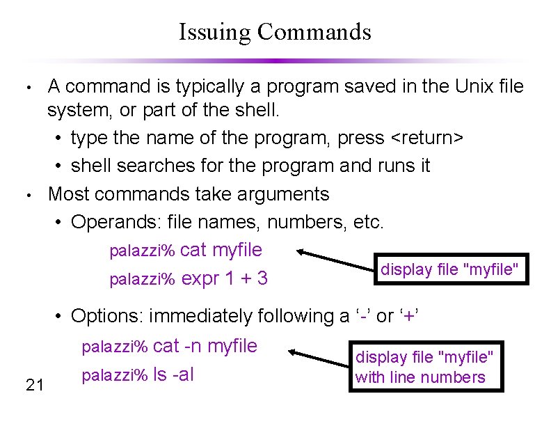 Issuing Commands • • A command is typically a program saved in the Unix