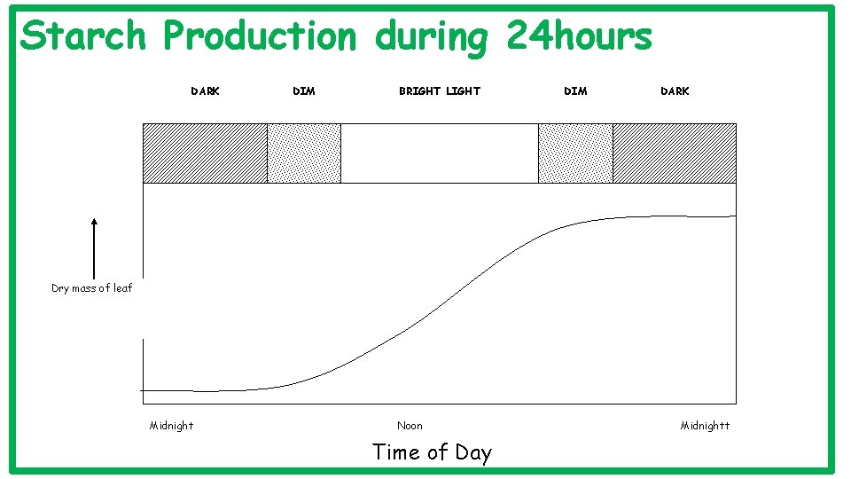Starch Production during 24 hours DARK DIM BRIGHT LIGHT DIM DARK Dry mass of