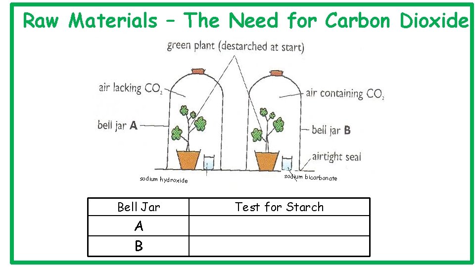 Raw Materials – The Need for Carbon Dioxide sodium hydroxide Bell Jar A B