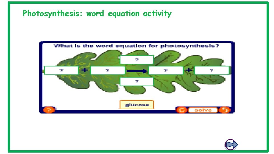Photosynthesis: word equation activity 