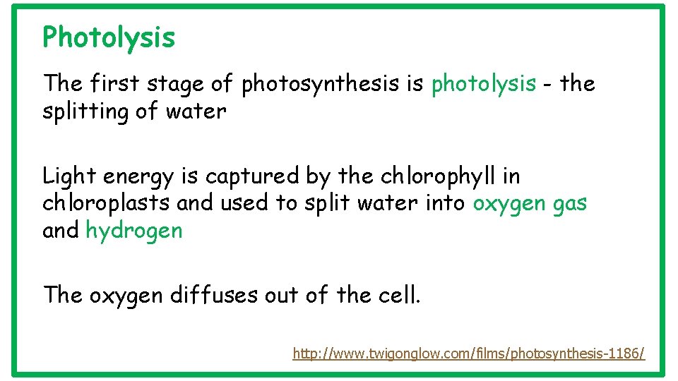 Photolysis The first stage of photosynthesis is photolysis - the splitting of water Light