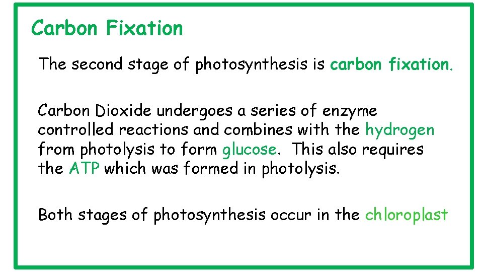 Carbon Fixation The second stage of photosynthesis is carbon fixation. Carbon Dioxide undergoes a