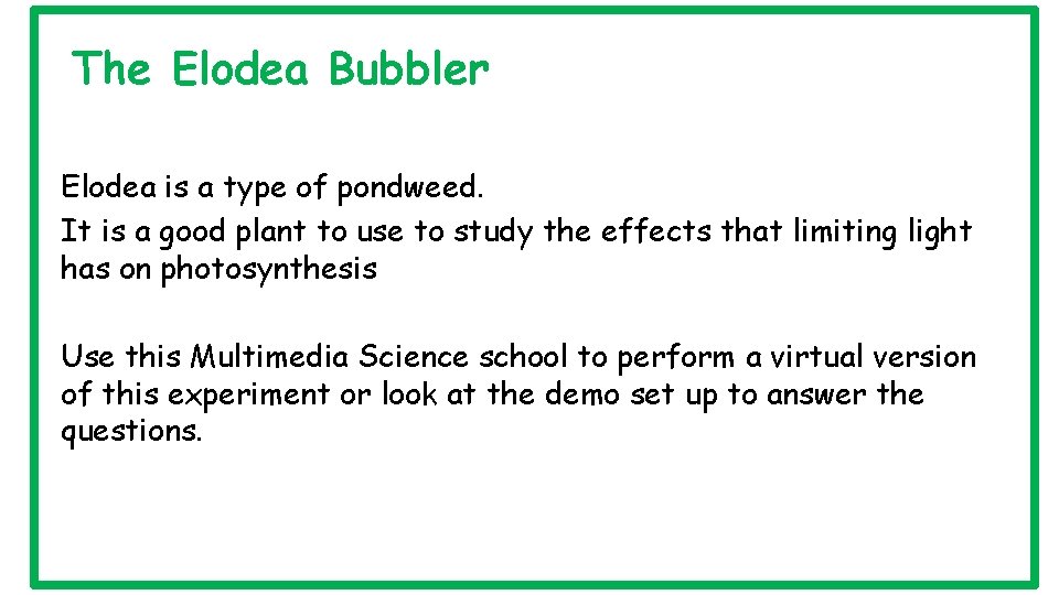 The Elodea Bubbler Elodea is a type of pondweed. It is a good plant