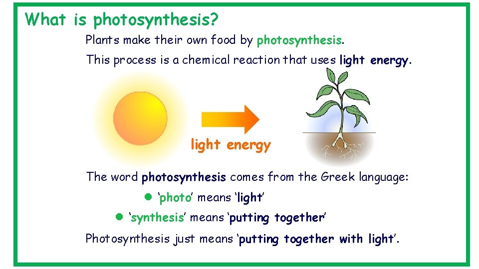 What is photosynthesis? Plants make their own food by photosynthesis. This process is a