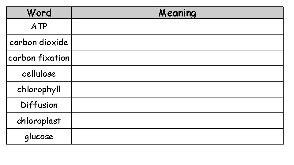 Word ATP carbon dioxide carbon fixation cellulose chlorophyll Diffusion chloroplast glucose Meaning 