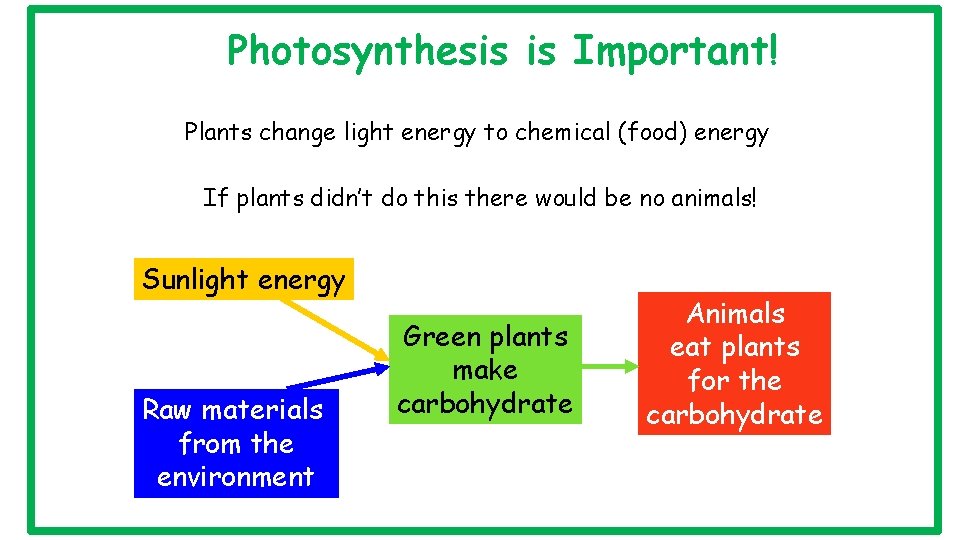 Photosynthesis is Important! Plants change light energy to chemical (food) energy If plants didn’t