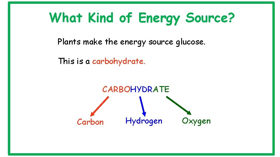 What Kind of Energy Source? Plants make the energy source glucose. This is a
