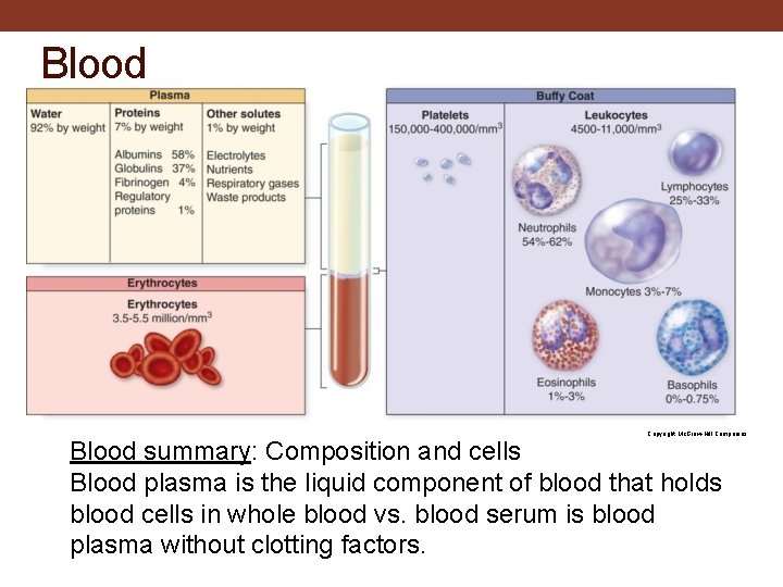 Blood Copyright Mc. Graw-Hill Companies Blood summary: Composition and cells Blood plasma is the