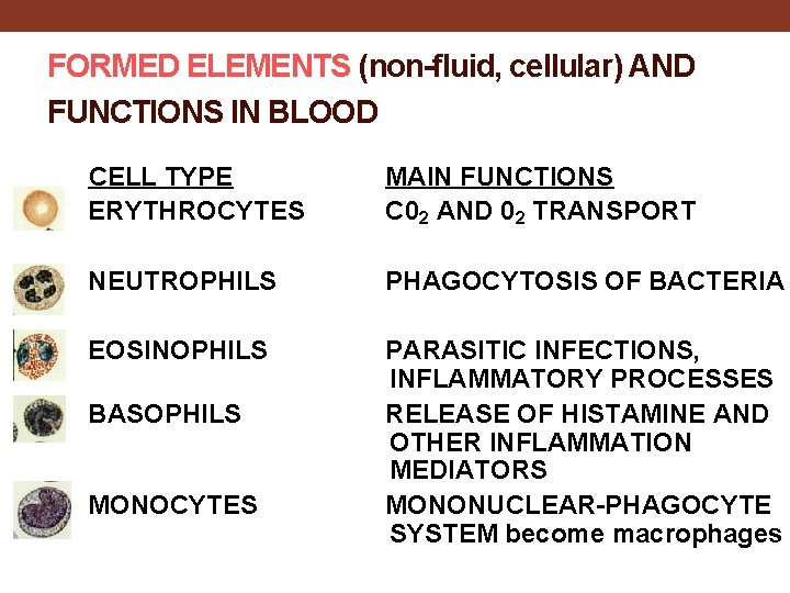 FORMED ELEMENTS (non-fluid, cellular) AND FUNCTIONS IN BLOOD CELL TYPE ERYTHROCYTES MAIN FUNCTIONS C