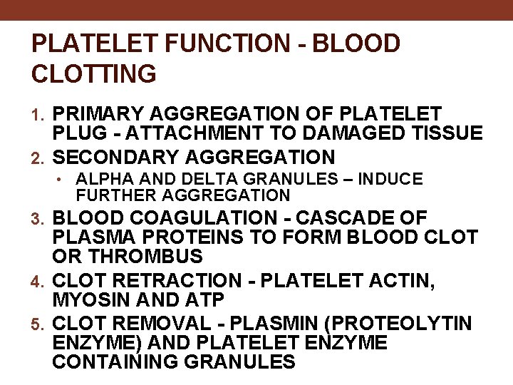 PLATELET FUNCTION - BLOOD CLOTTING 1. PRIMARY AGGREGATION OF PLATELET PLUG - ATTACHMENT TO