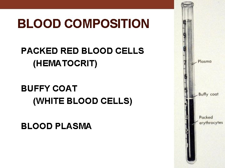 BLOOD COMPOSITION PACKED RED BLOOD CELLS (HEMATOCRIT) BUFFY COAT (WHITE BLOOD CELLS) BLOOD PLASMA