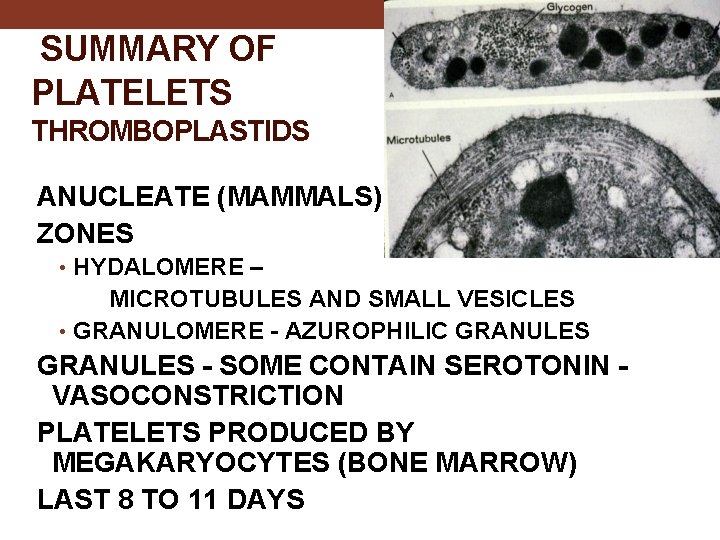 SUMMARY OF PLATELETS THROMBOPLASTIDS ANUCLEATE (MAMMALS) ZONES • HYDALOMERE – MICROTUBULES AND SMALL VESICLES