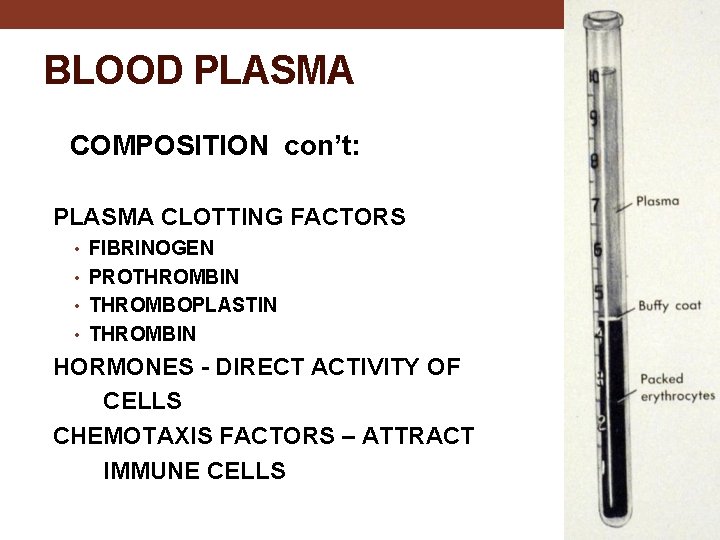 BLOOD PLASMA COMPOSITION con’t: PLASMA CLOTTING FACTORS • FIBRINOGEN • PROTHROMBIN • THROMBOPLASTIN •