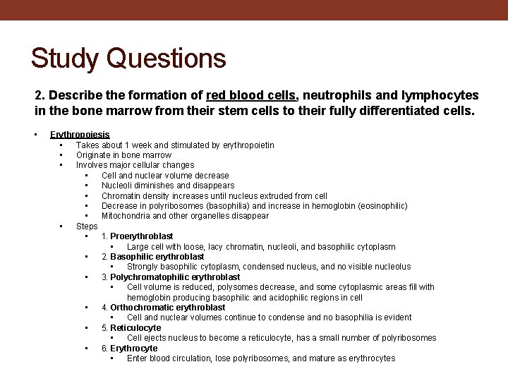 Study Questions 2. Describe the formation of red blood cells, neutrophils and lymphocytes in