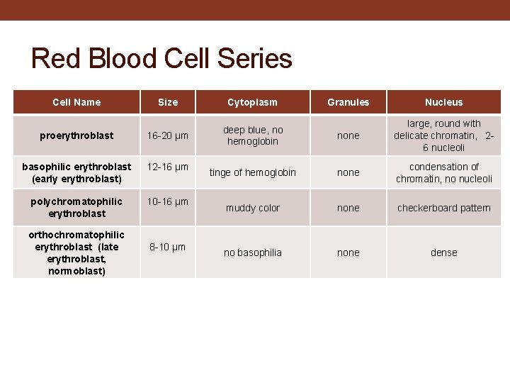 Red Blood Cell Series Cell Name Size Cytoplasm proerythroblast 16 -20 µm basophilic erythroblast