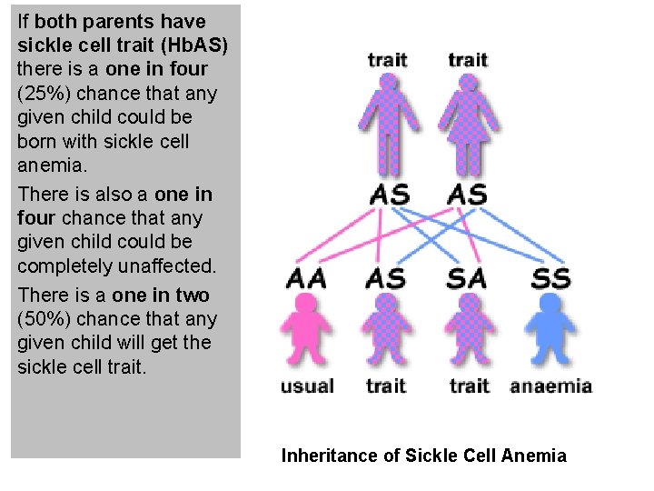 If both parents have sickle cell trait (Hb. AS) there is a one in