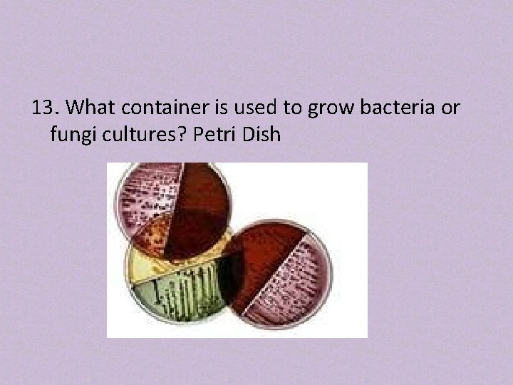 13. What container is used to grow bacteria or fungi cultures? Petri Dish 