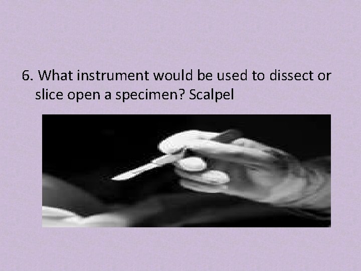 6. What instrument would be used to dissect or slice open a specimen? Scalpel