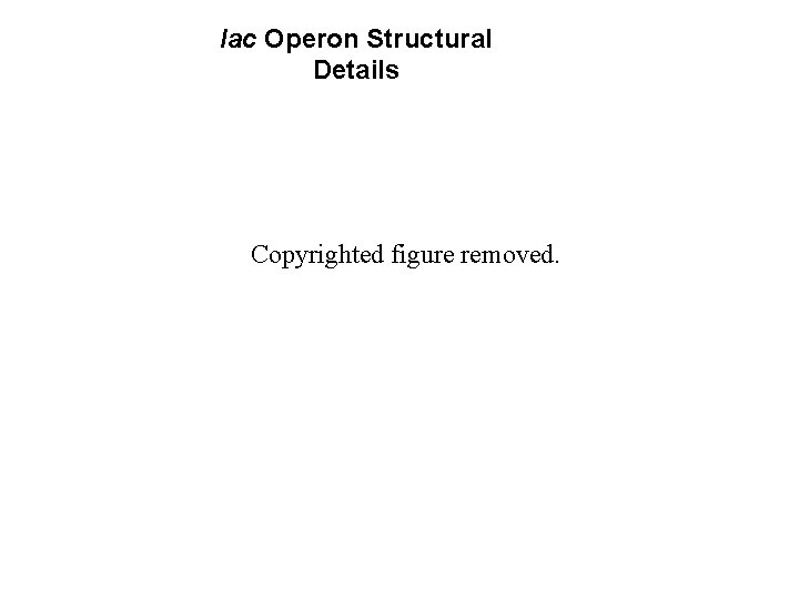lac Operon Structural Details Copyrighted figure removed. 