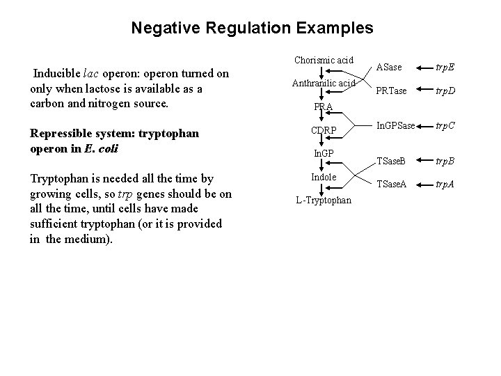 Negative Regulation Examples Chorismic acid Inducible lac operon: operon turned on only when lactose