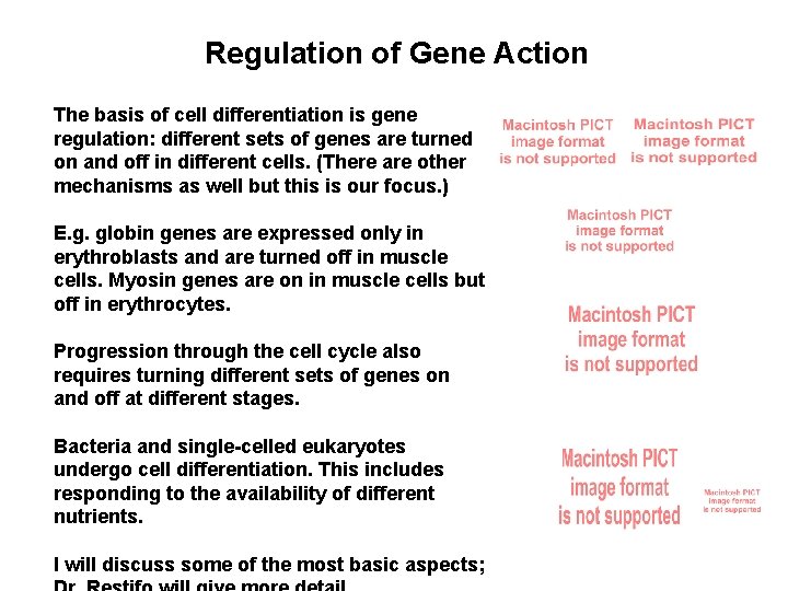 Regulation of Gene Action The basis of cell differentiation is gene regulation: different sets