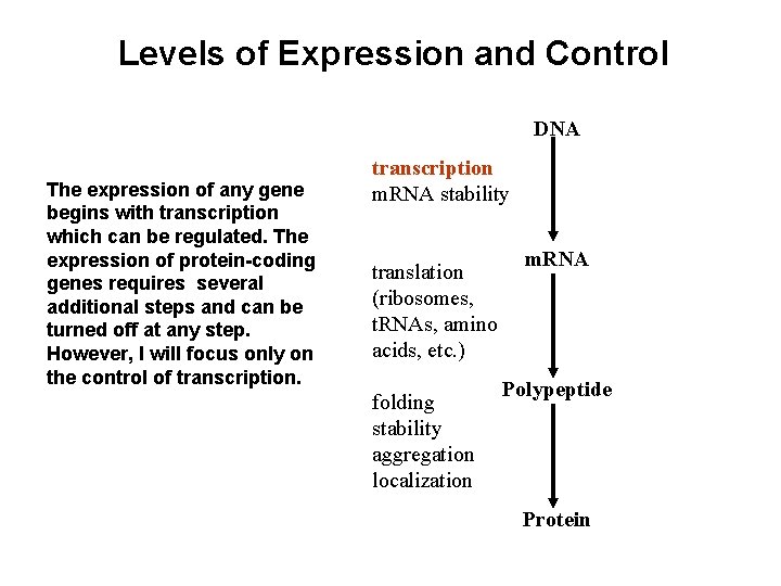 Levels of Expression and Control DNA The expression of any gene begins with transcription