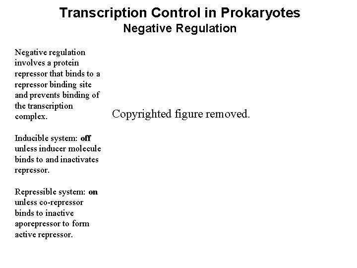 Transcription Control in Prokaryotes Negative Regulation Negative regulation involves a protein repressor that binds