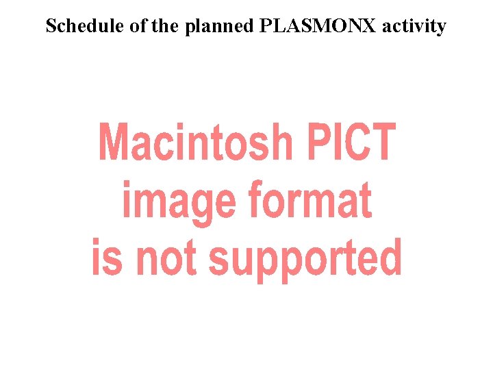 Schedule of the planned PLASMONX activity 