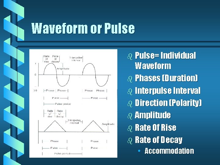 Waveform or Pulse b Pulse= Individual Waveform b Phases (Duration) b Interpulse Interval b Waveform or Pulse b Pulse= Individual Waveform b Phases (Duration) b Interpulse Interval b