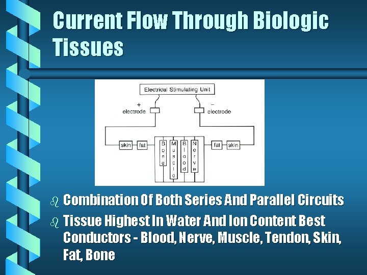 Current Flow Through Biologic Tissues b Combination Of Both Series And Parallel Circuits b Current Flow Through Biologic Tissues b Combination Of Both Series And Parallel Circuits b