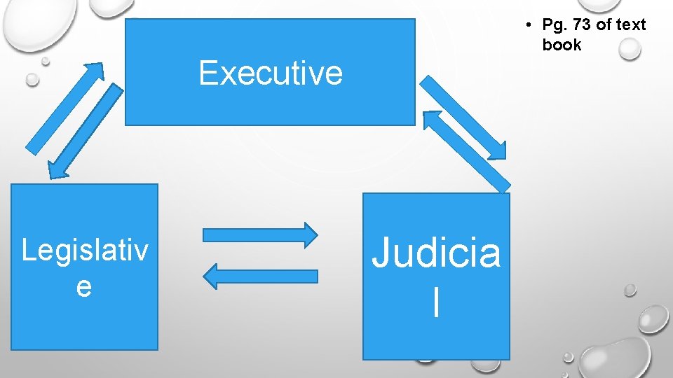  • Pg. 73 of text book Executive Legislativ e Judicia l 