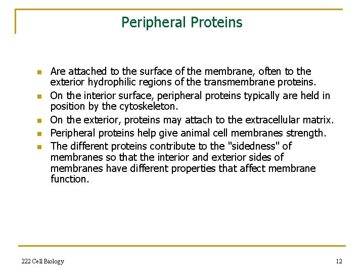 Peripheral Proteins n n n Are attached to the surface of the membrane, often