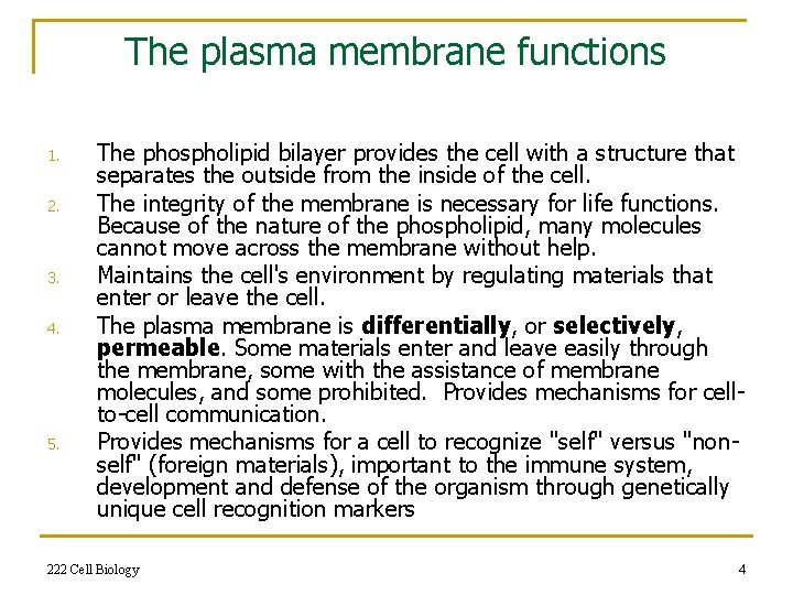 The plasma membrane functions 1. 2. 3. 4. 5. The phospholipid bilayer provides the