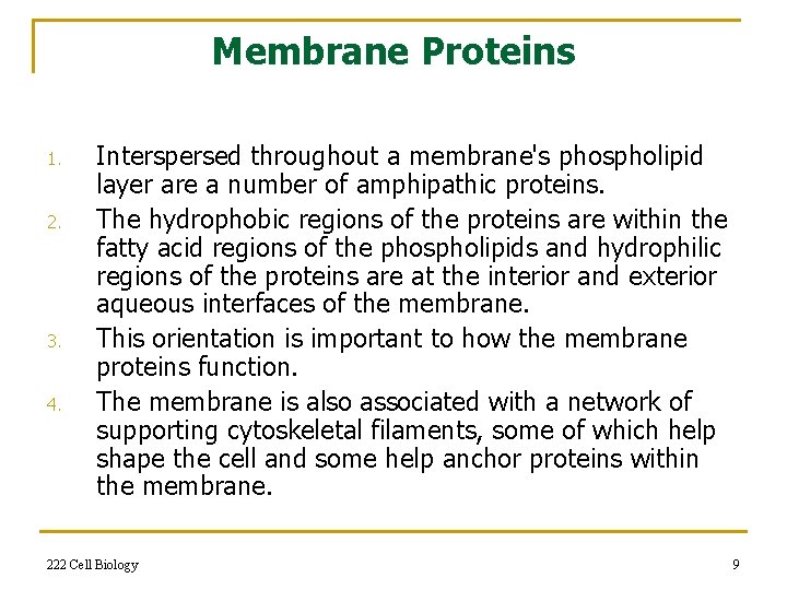 Membrane Proteins 1. 2. 3. 4. Interspersed throughout a membrane's phospholipid layer are a