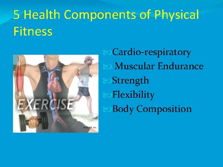 5 Health Components of Physical Fitness Cardio-respiratory Muscular Endurance Strength Flexibility Body Composition 