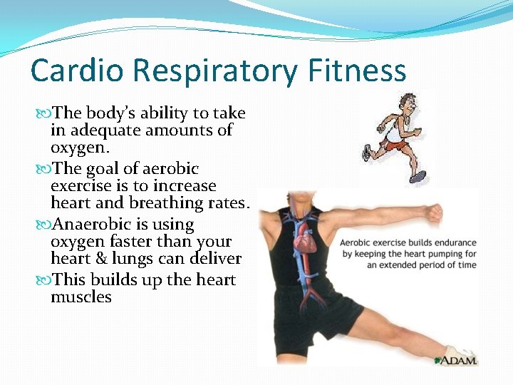 Cardio Respiratory Fitness The body’s ability to take in adequate amounts of oxygen. The