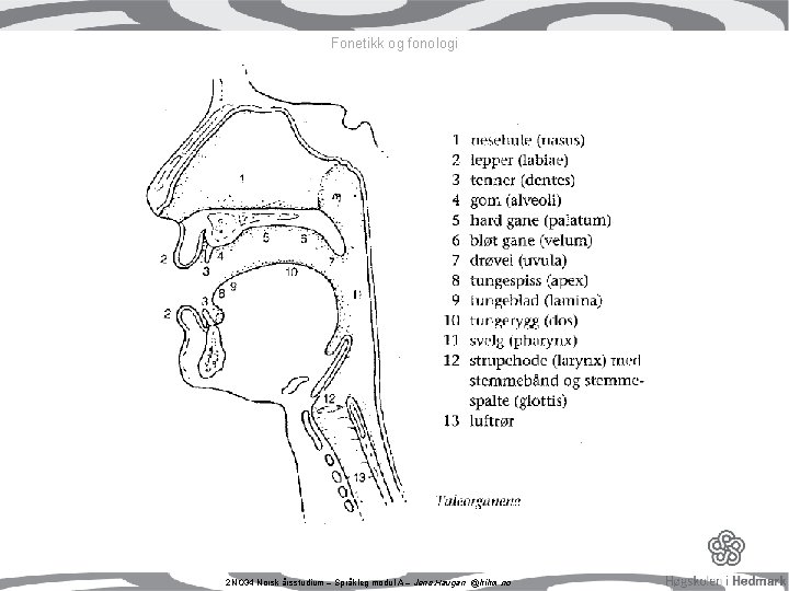 Fonetikk og fonologi 2 NO 34 Norsk årsstudium – Språkleg modul A – Jens. Fonetikk og fonologi 2 NO 34 Norsk årsstudium – Språkleg modul A – Jens.