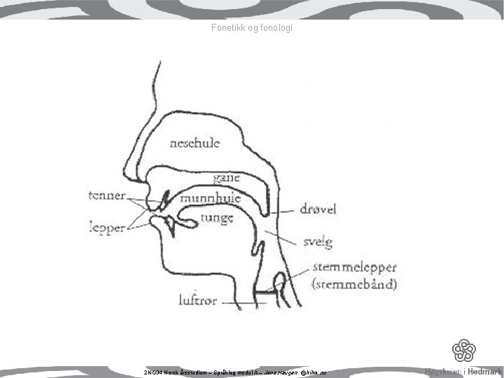Fonetikk og fonologi 2 NO 34 Norsk årsstudium – Språkleg modul A – Jens. Fonetikk og fonologi 2 NO 34 Norsk årsstudium – Språkleg modul A – Jens.